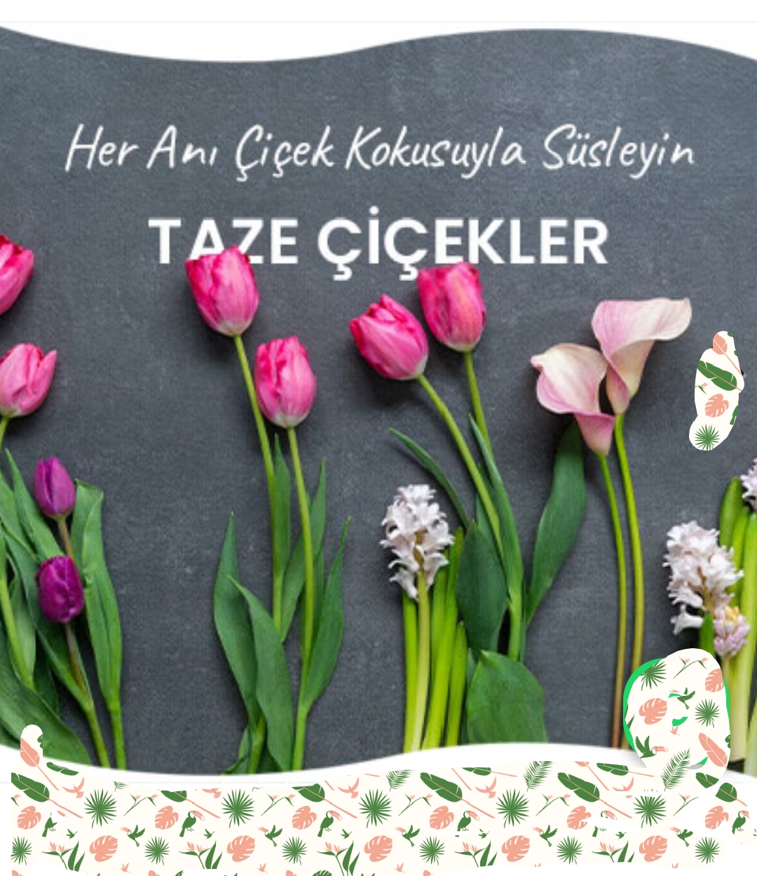 www.cicekistanbul.com.tr