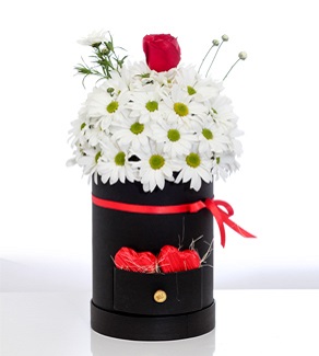 Daisy Dreams Papatya-Bayrampaşa hızlı Çiçek