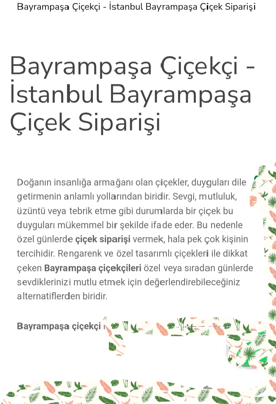 Bayrampaşa çiçek siparişi
